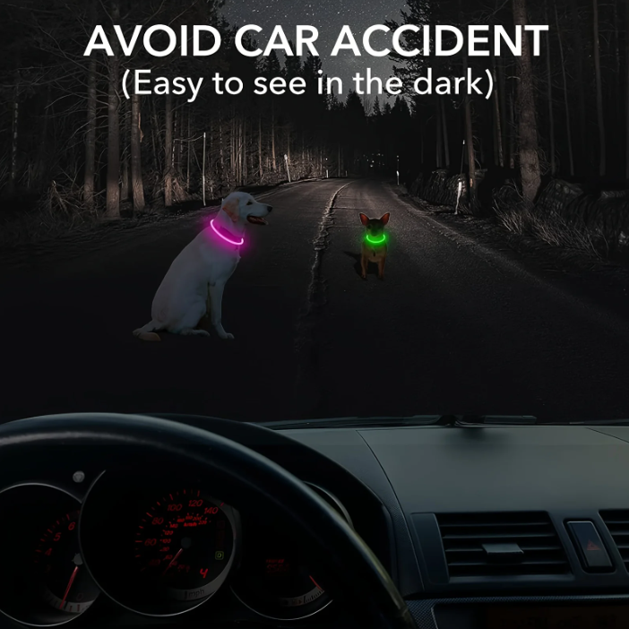 LED Pet Leash โ Light Up Every Walk ๐