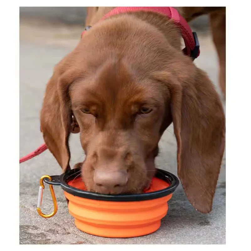 Portable Foldable Bowl for Pets