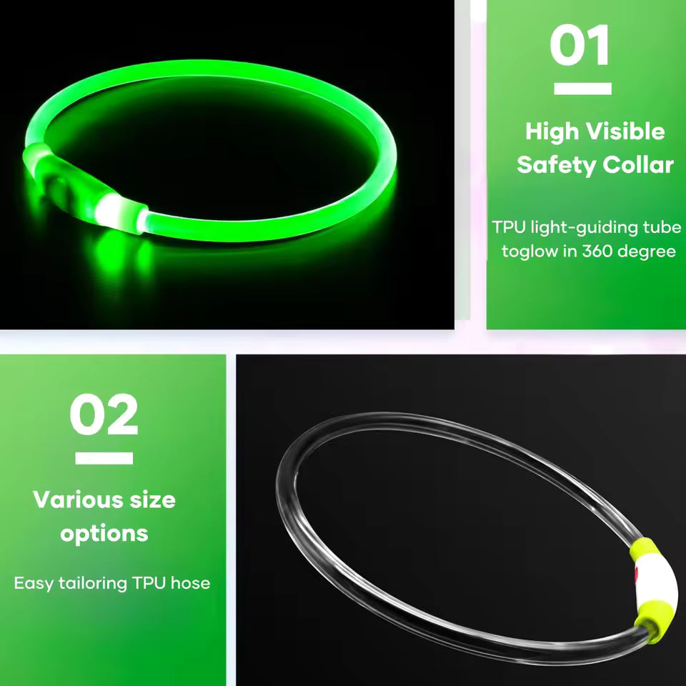 LED Pet Leash โ Light Up Every Walk ๐