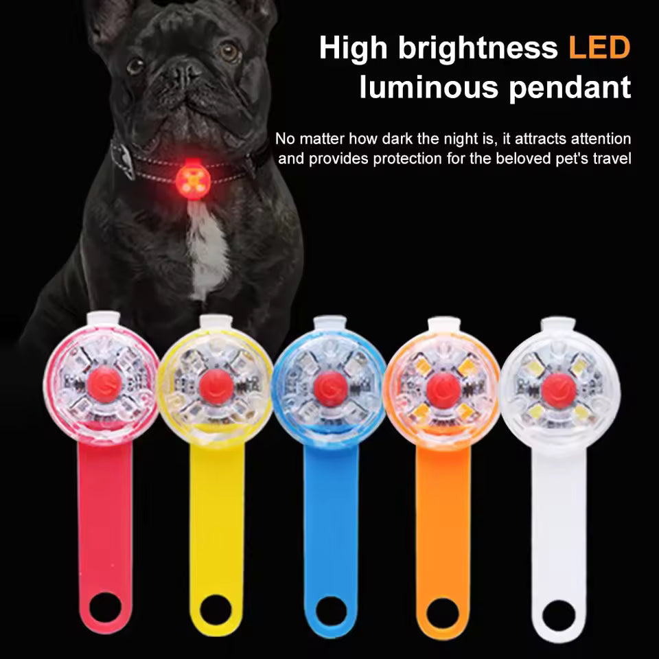Light-Up Collar for Your Dog’s Safety and Comfort