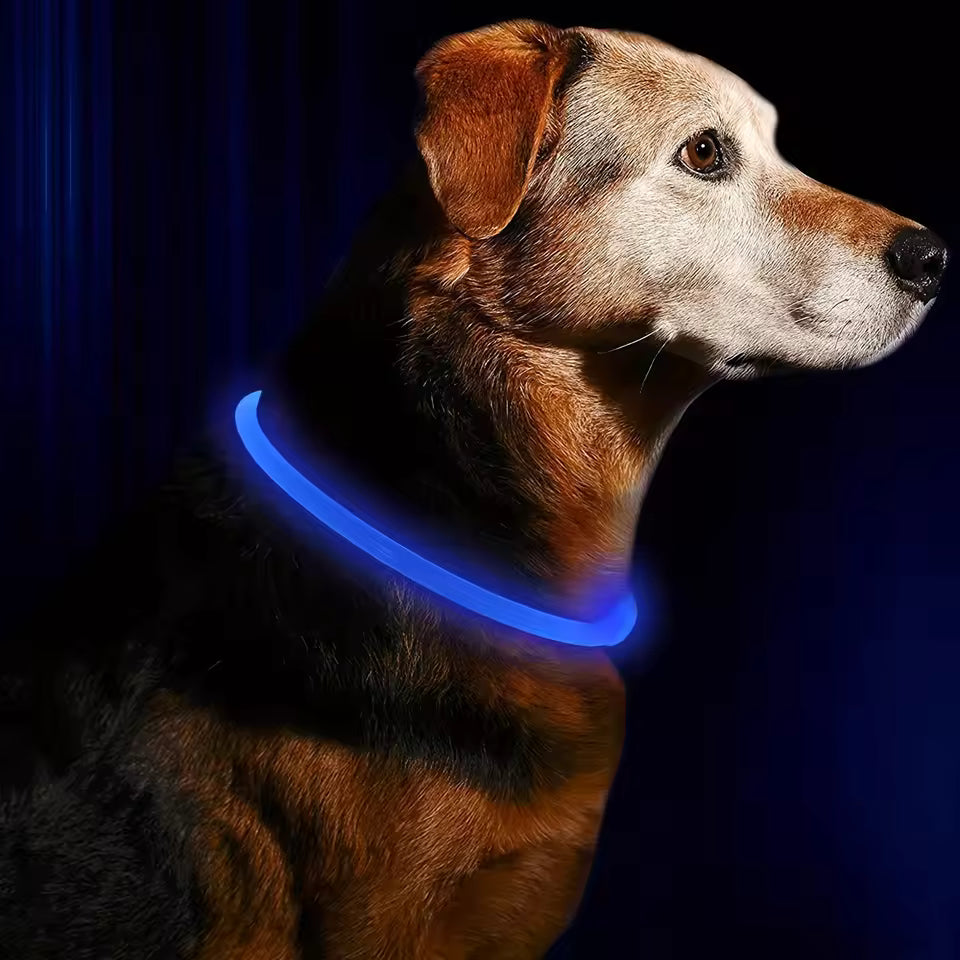 LED Pet Leash โ Light Up Every Walk ๐