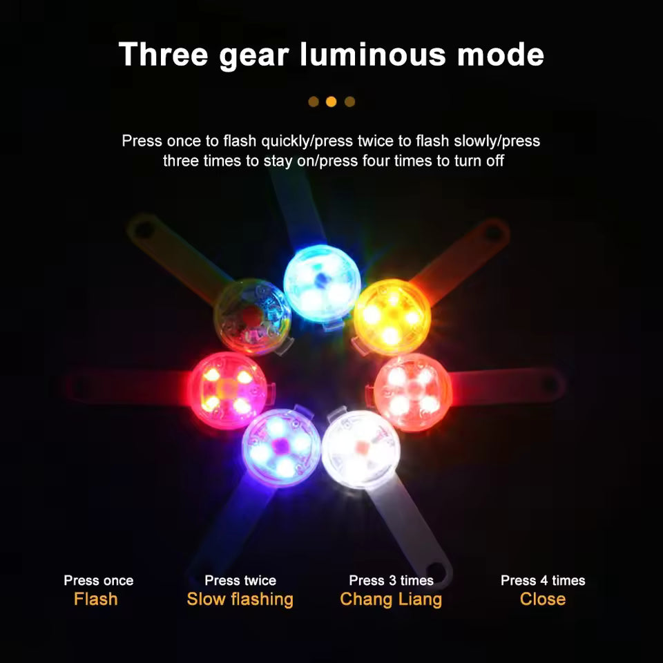Light-Up Collar for Your Dog’s Safety and Comfort