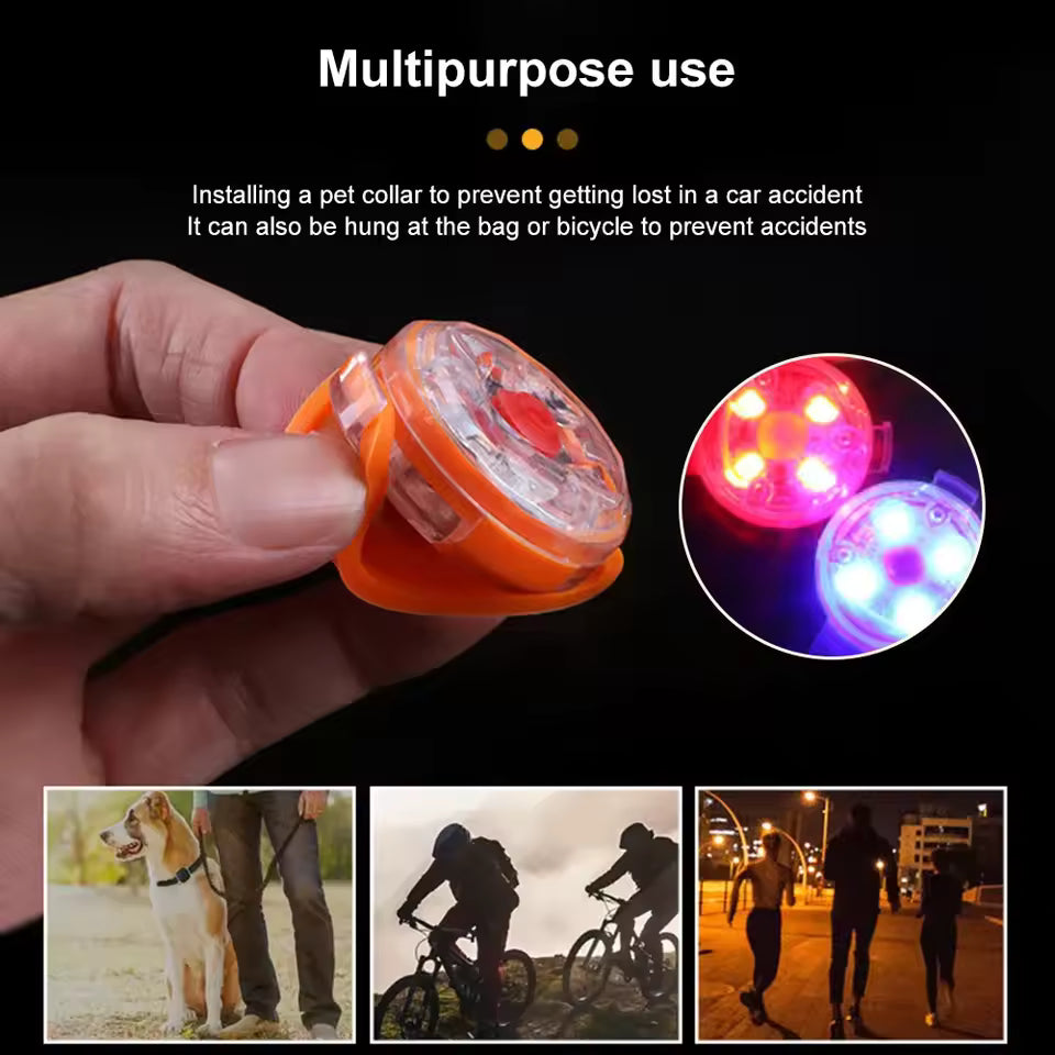 Light-Up Collar for Your Dog’s Safety and Comfort
