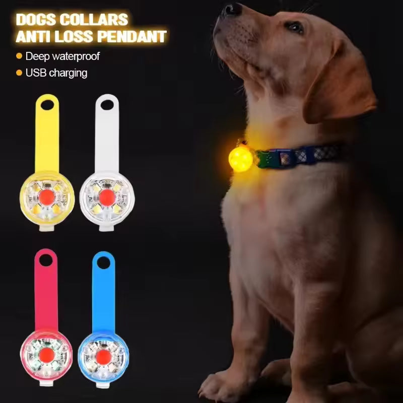 Light-Up Collar for Your Dog’s Safety and Comfort