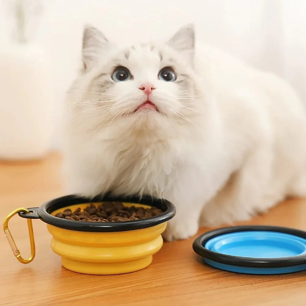 Portable Foldable Bowl for Pets