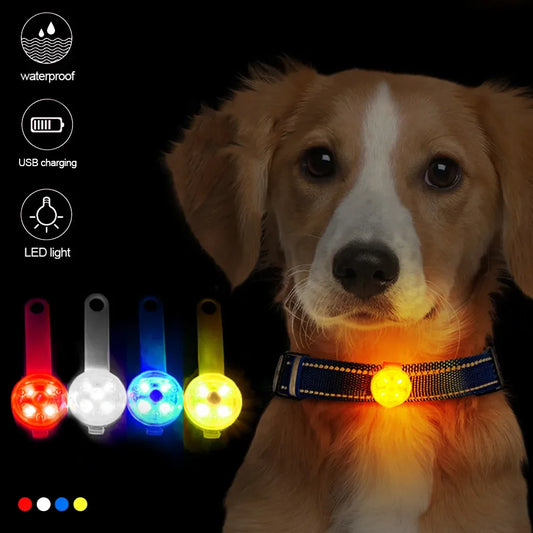 Light-Up Collar for Your Dog’s Safety and Comfort
