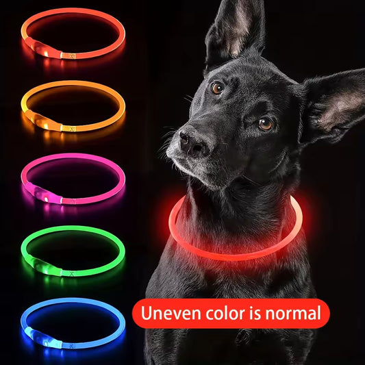 LED Pet Leash – Light Up Every Walk 🌙
